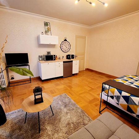 Superbe Appartement Calme Et Spacieux Graulhet Exteriér fotografie